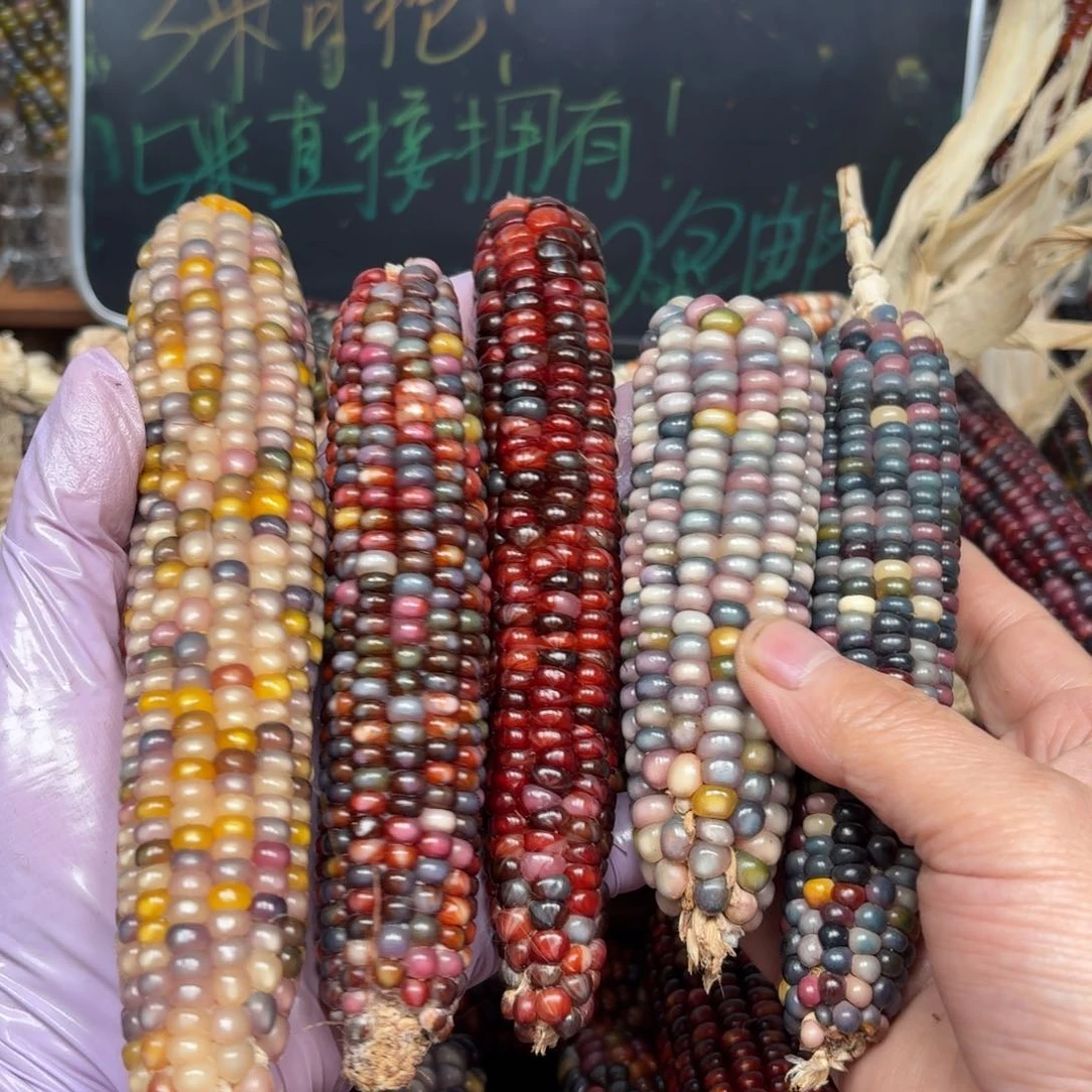 柏香籽/百香籽吊坠一****.