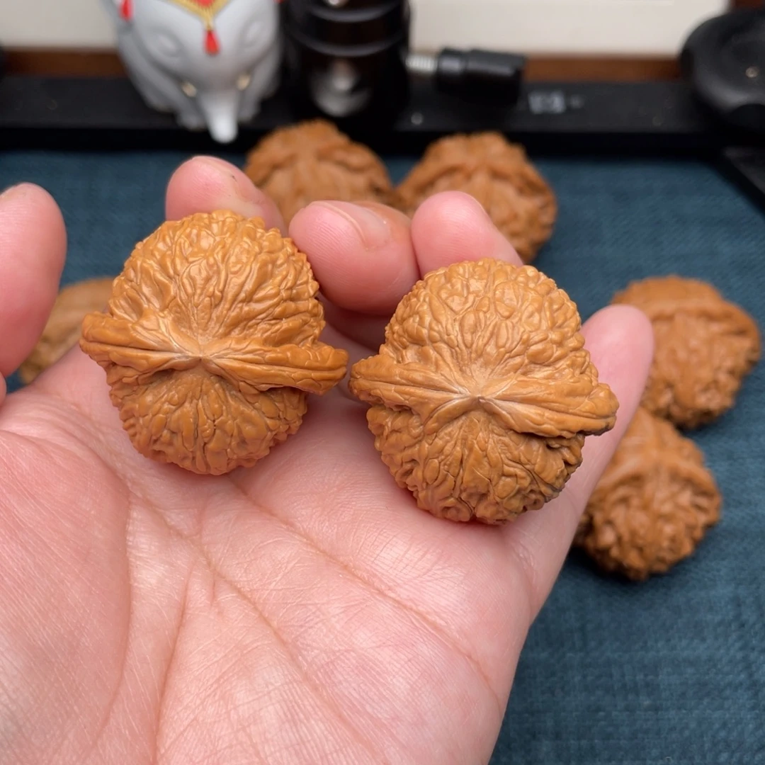 把件文玩核桃全品白狮子37