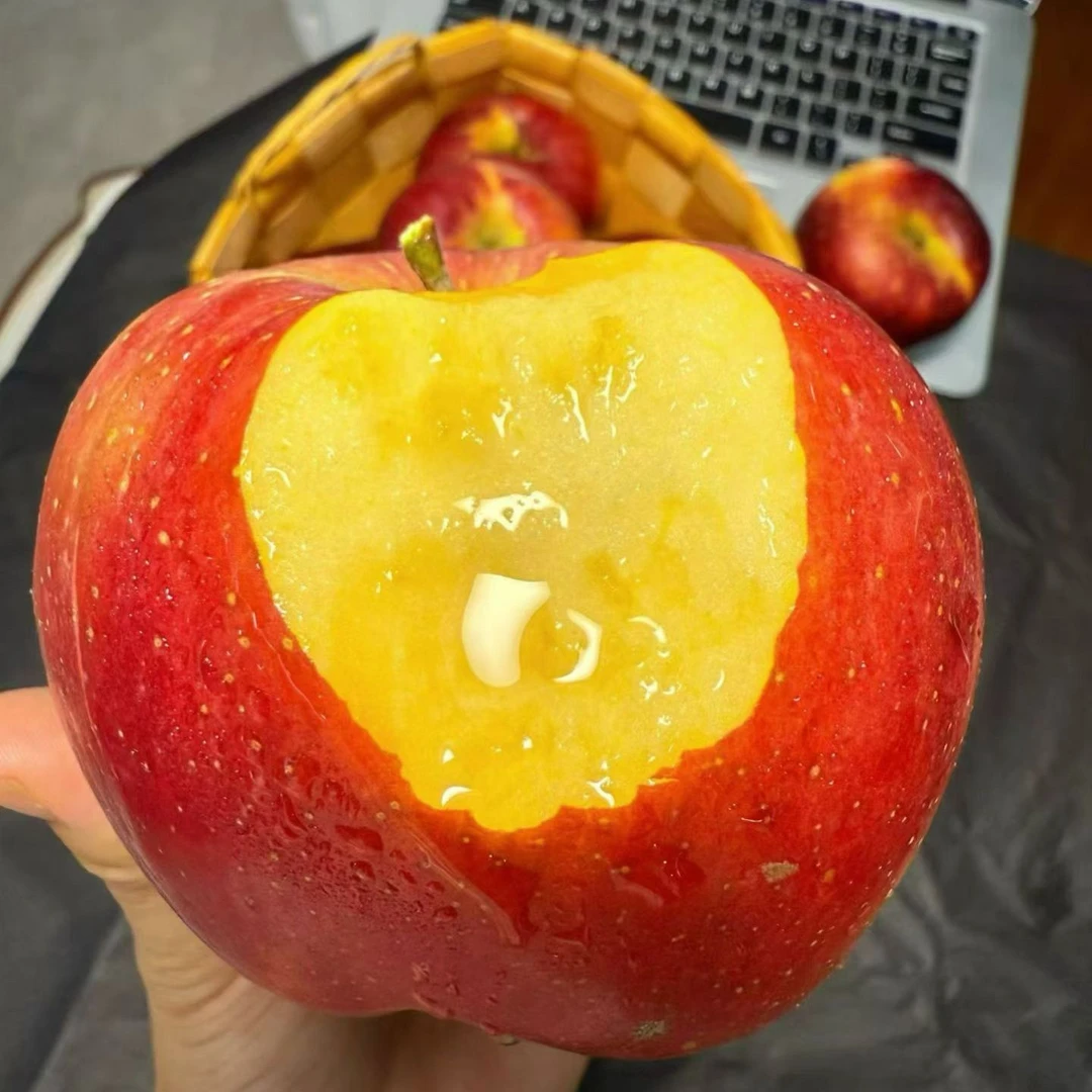 云南昭通2001早熟富士丑苹果新鲜现摘现发