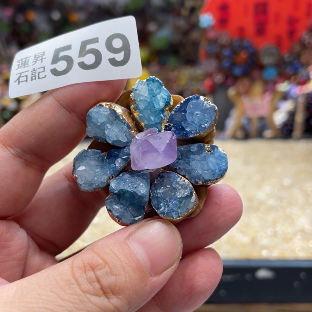 核桃木/黑胡桃（胡桃木）559