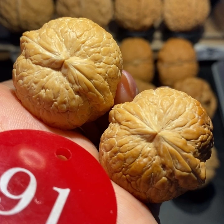 核桃七彩粗筋西瓜尺寸34