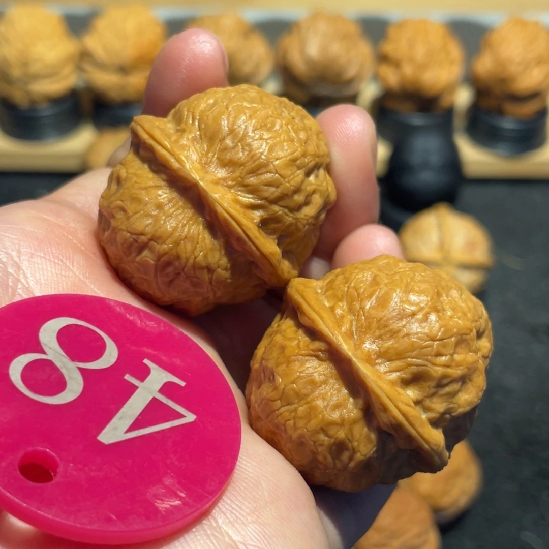 圆滚滚椰子球36（网红款）