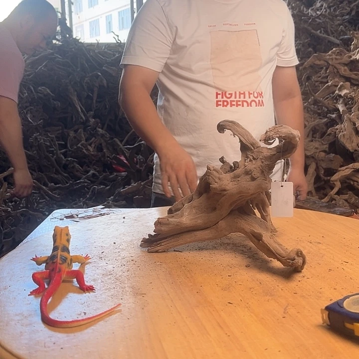 木302022鱼缸造景根雕作品155