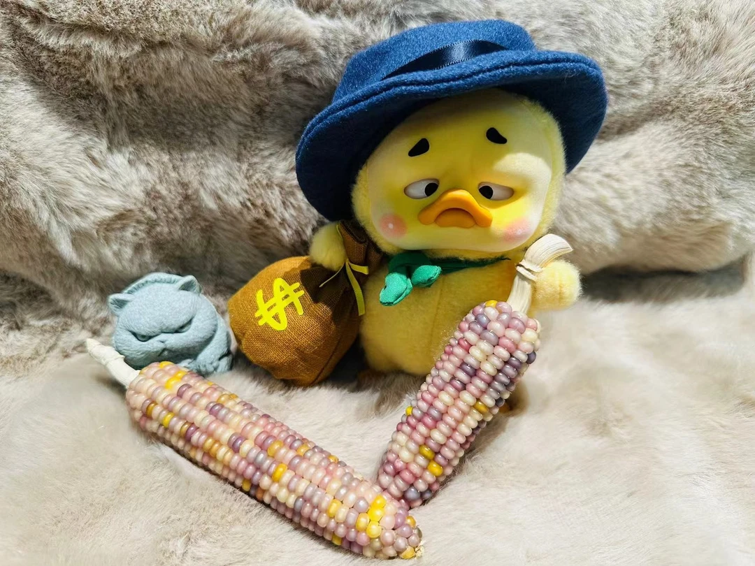 【文玩玉米毛料一物一拍】