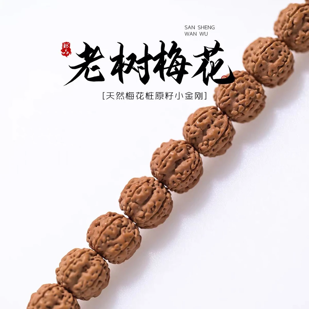 【老树梅花】梅花桩小金刚菩提子精品原皮手串单圈双龙纹手持文玩