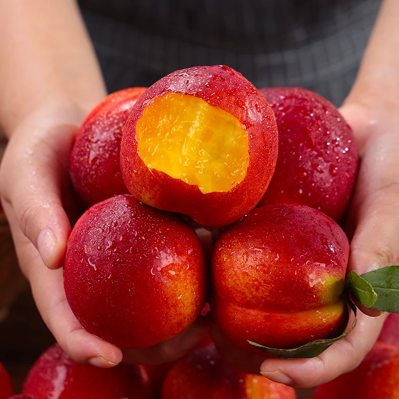 【顺丰明天到】5斤砀山麻点油桃黄肉大油桃更脆更甜更有桃味3斤当季新鲜水果桃子安徽省
