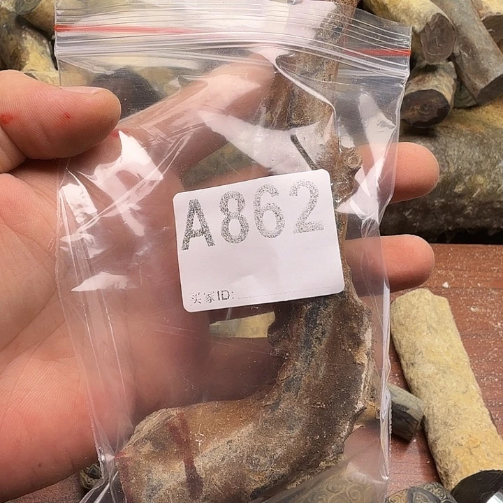 862啊啊啊啊啊啊啊啊啊