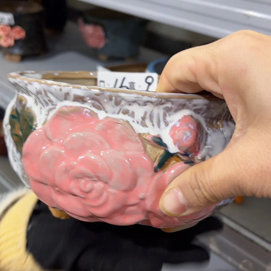 【闪购商品】红陶福利