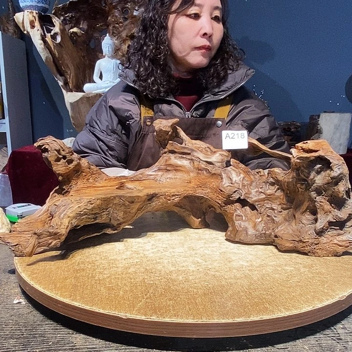 原*218株木随行的小根艺的