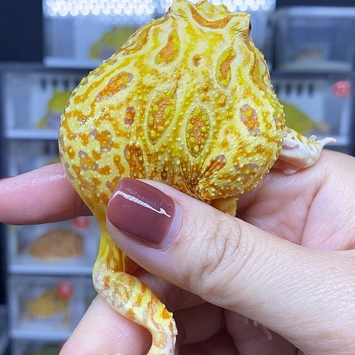 特价秒杀现货供应