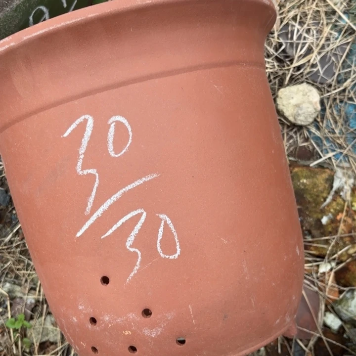 紫砂茶壶紫砂的颜色