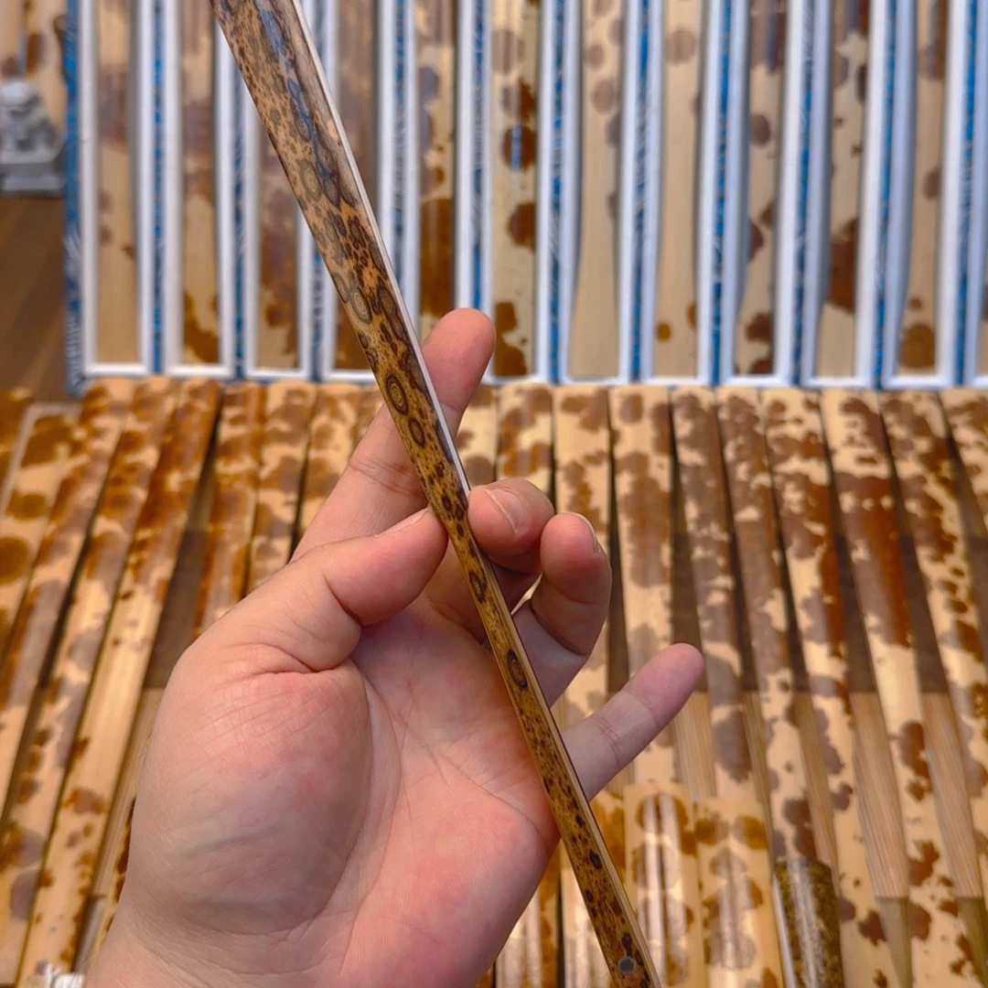 菲***阳扇子啊啊啊啊啊啊