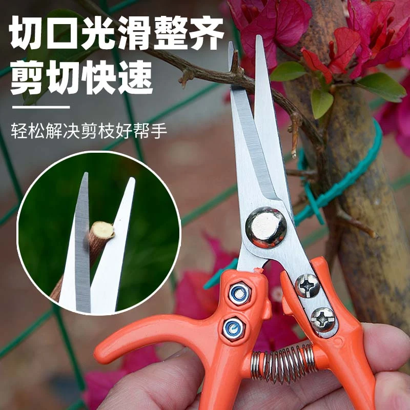 修枝剪子葡萄摘果剪 园林果树剪刀粗枝花剪 省力树枝修花园艺剪刀