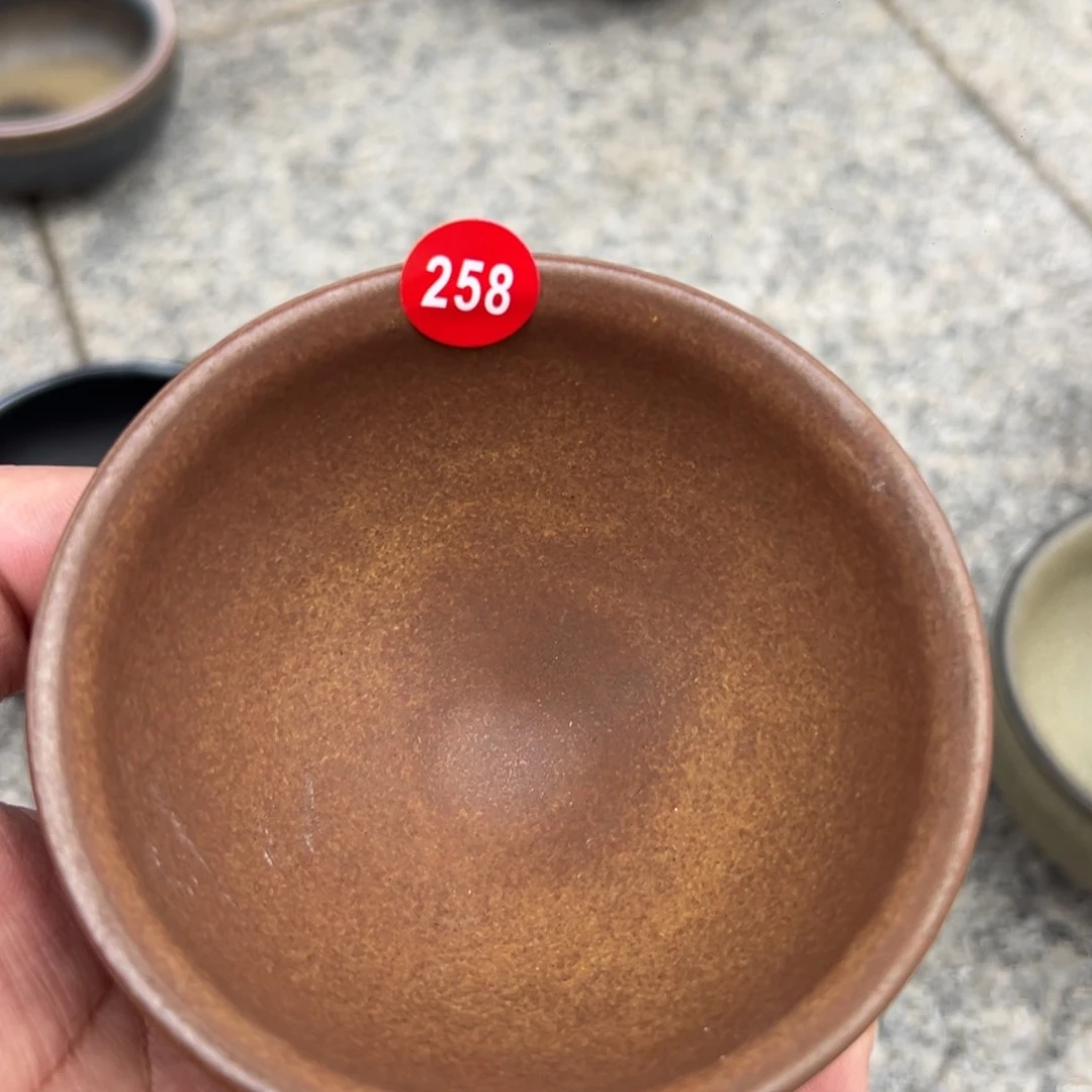 茶盏御*啊啊啊啊啊啊258