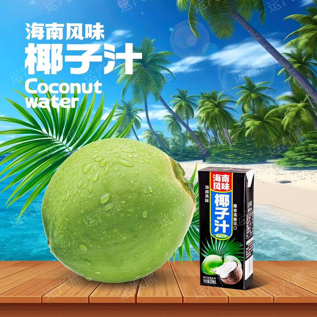 250ml*10盒正宗海南风味椰子汁休闲饮料聚餐盒装风味饮品