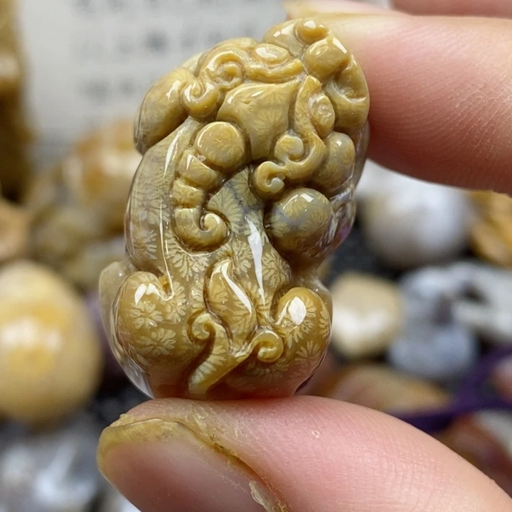 颈饰未镶嵌硅化珊瑚（珊瑚玉）小