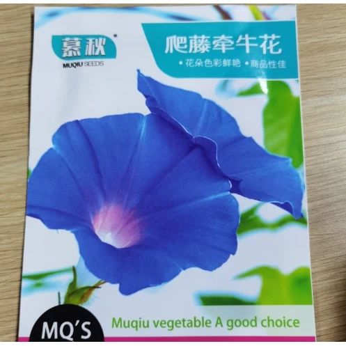 【满5包包邮】鼠尾草花种子