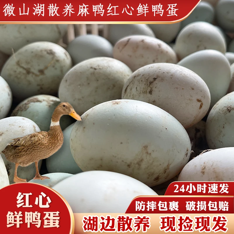 正宗微山湖30枚散养新鲜生麻鸭蛋红心土鸭蛋现捡现发破损包赔整箱