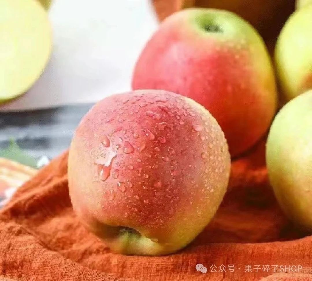 早熟陕西苹果，鲁丽，新品上市，口感脆甜