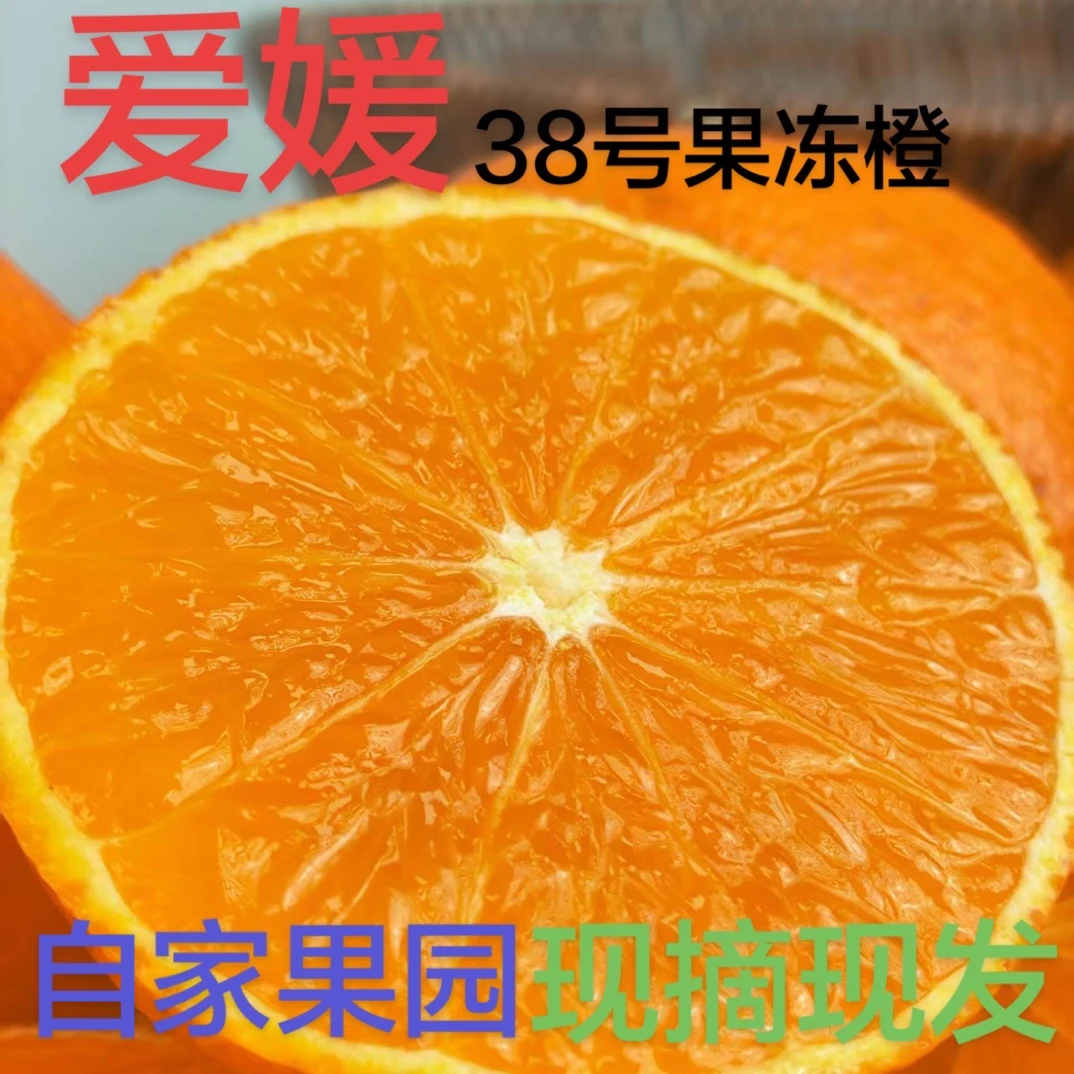 正宗四川爱媛38号果冻橙新鲜水果现摘无籽无渣爆甜多汁