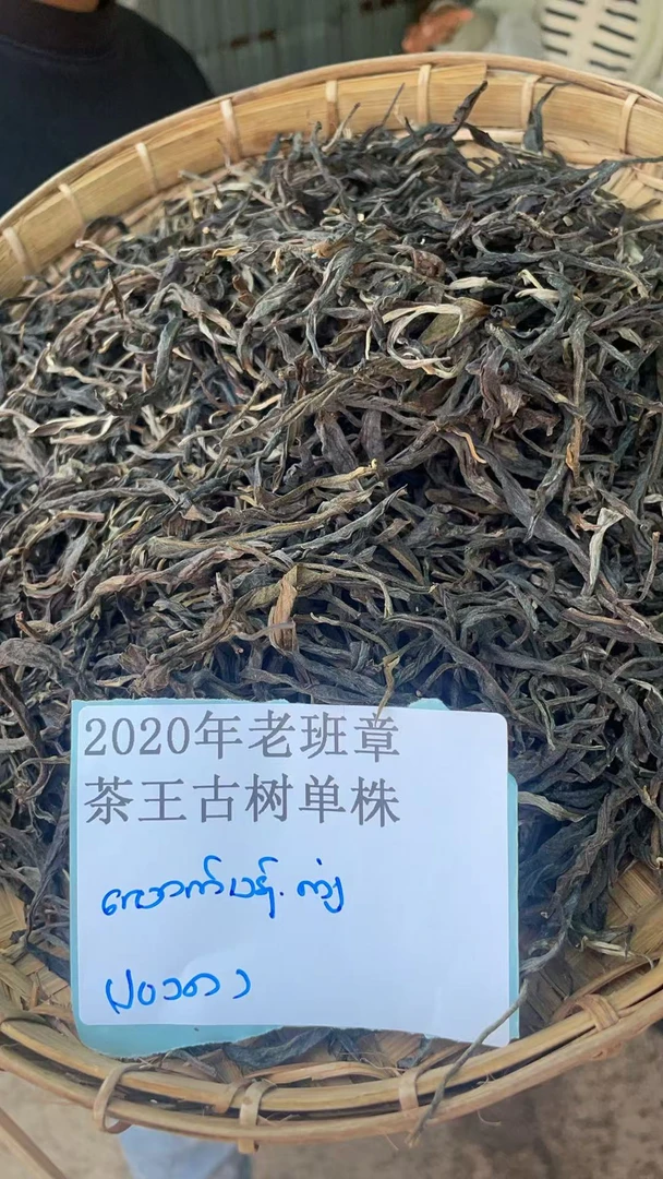 古树散茶20年老班章茶王古树单株EESDA8829A50-777