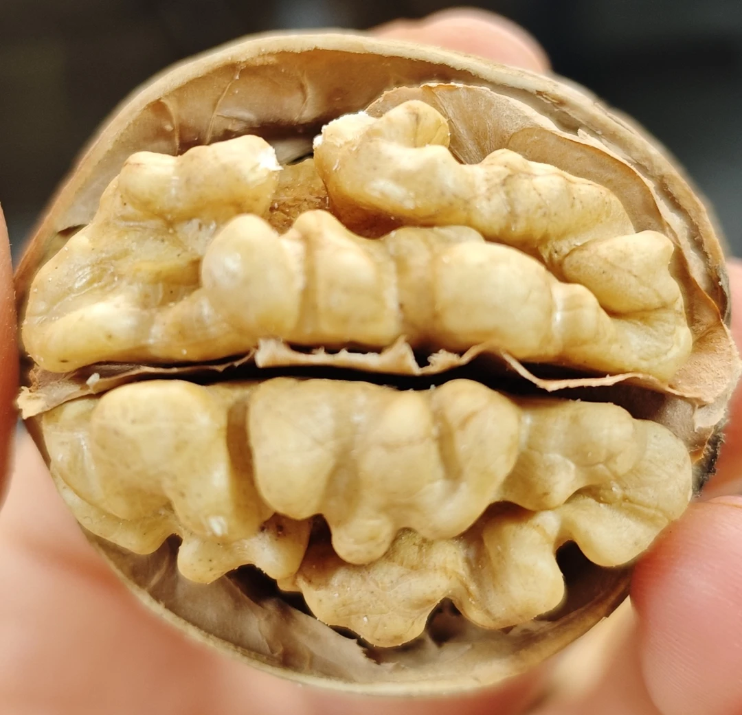 2025年的新疆阿克苏的185纸皮核桃