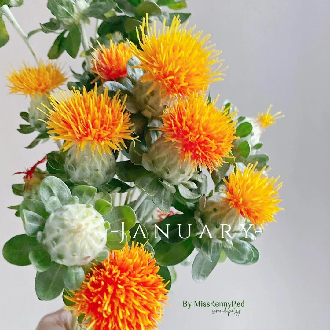 橙菠萝一扎（可以做干花）