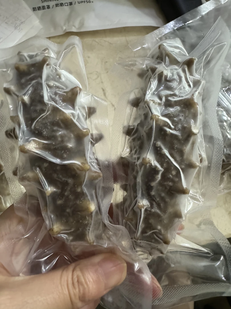 大连鲜食高刺海参营养丰富口感Q弹肉质爽脆