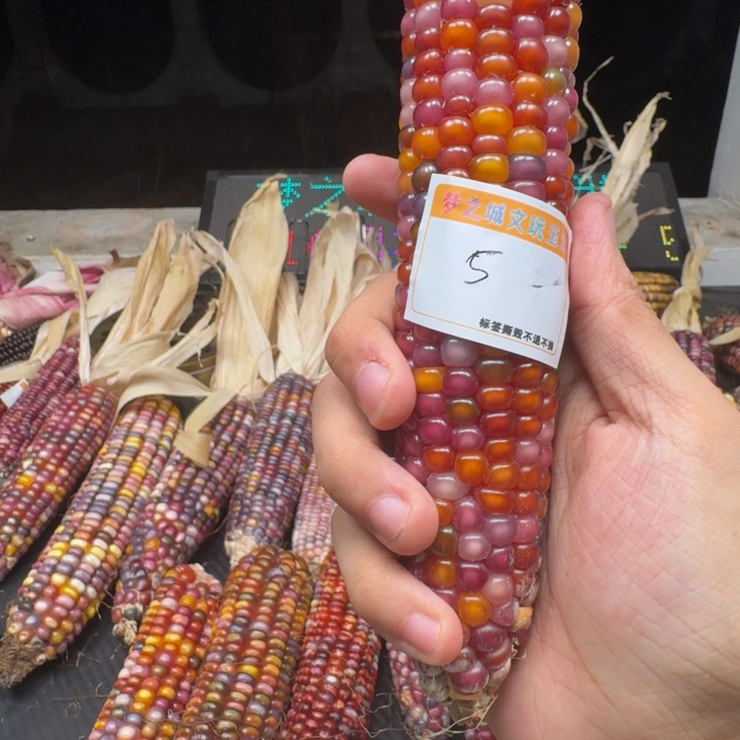 米***夏柏香籽/百香籽吊坠