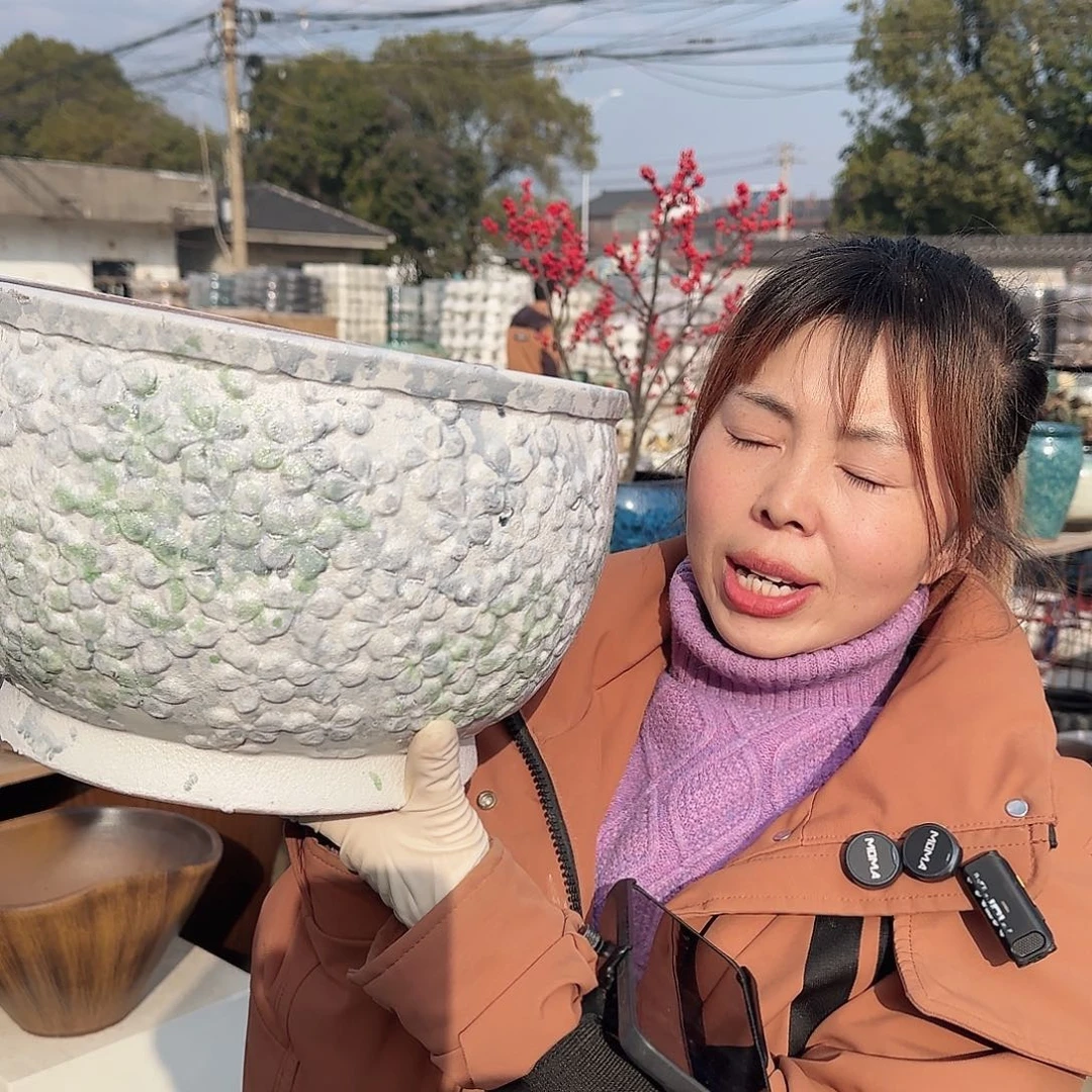 王嫂花盆1219-426高20口29