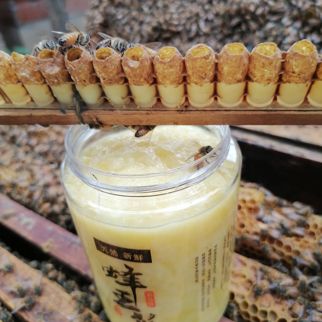 拍一单到手2瓶 蜂王浆 先拍先得 顺丰快递送货上门