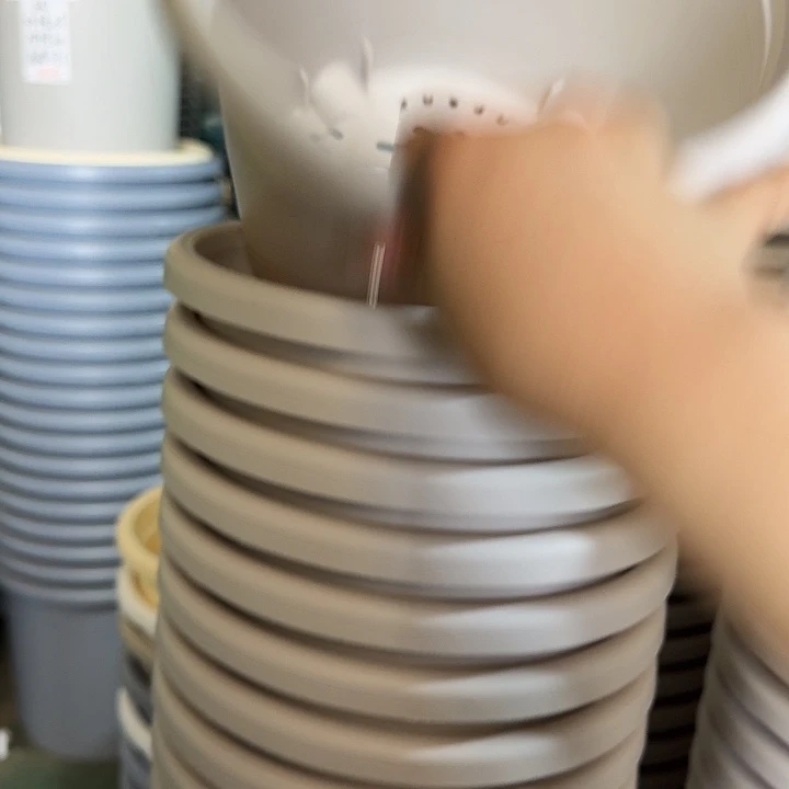 四季3号灰白无托10个微瑕