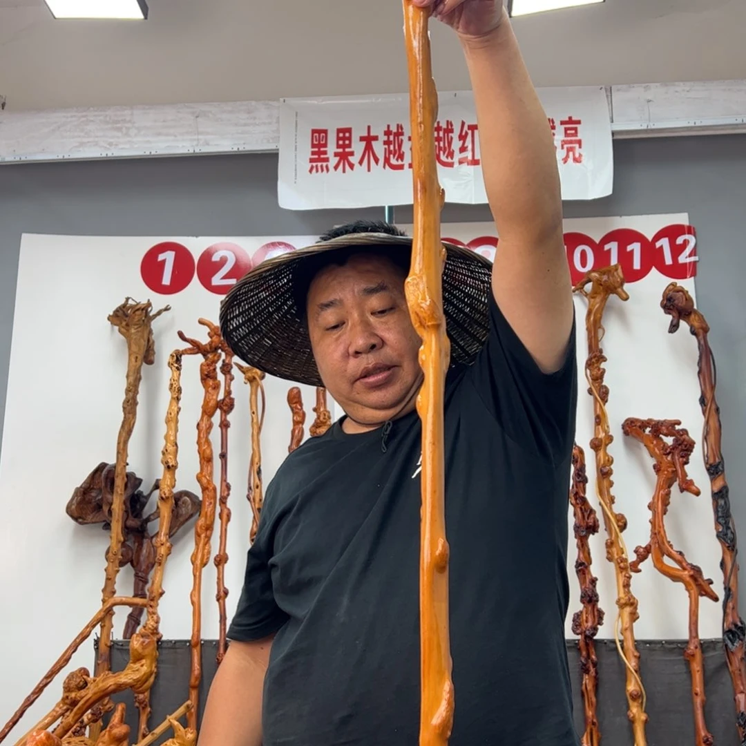 &***&黑果木其他黑果木109