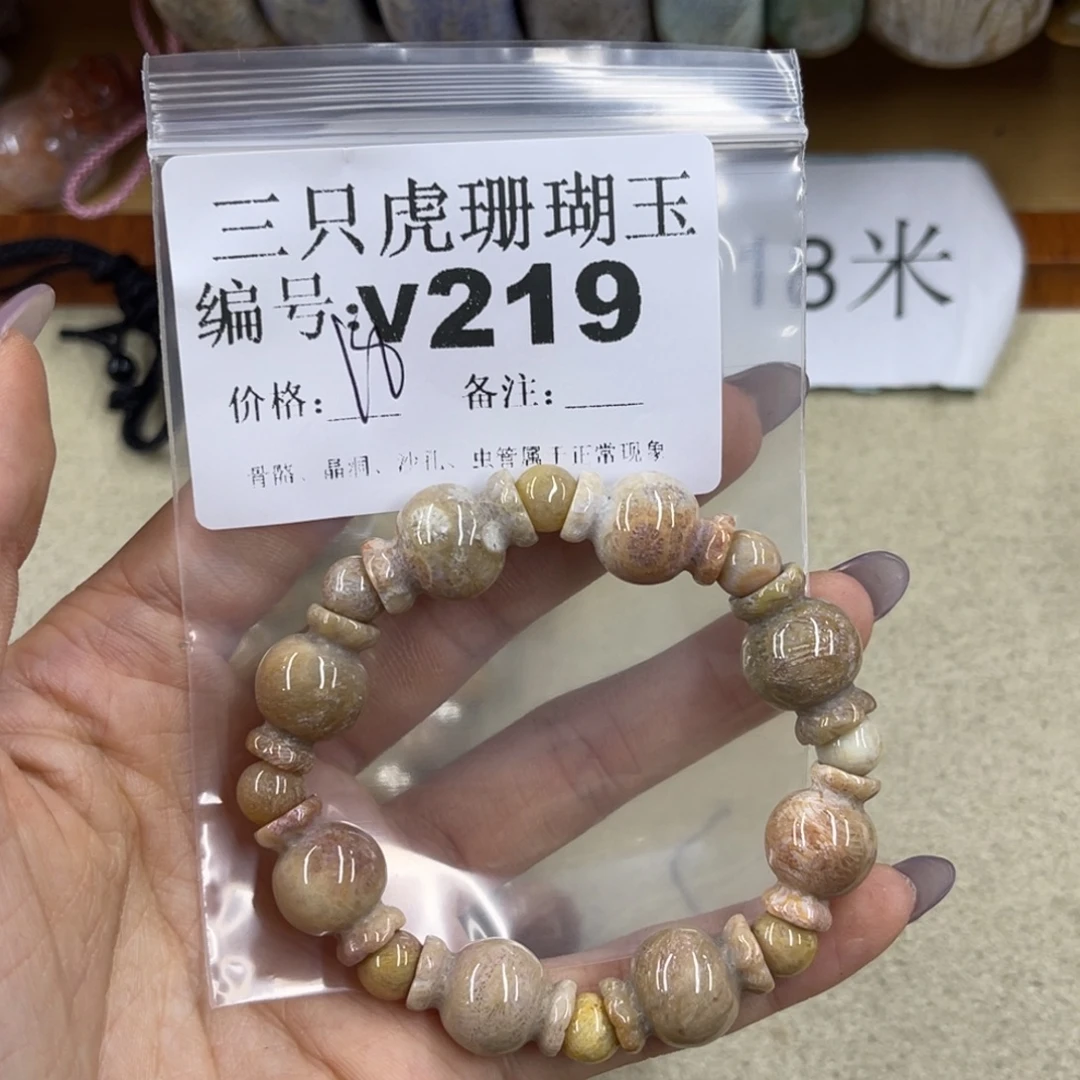 清***呀硅化珊瑚（珊瑚玉）未镶嵌h