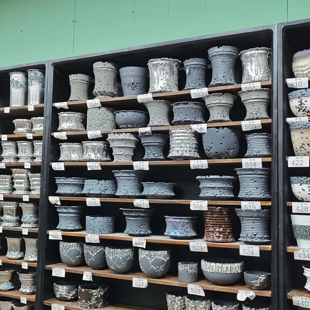 陶有喜欢的把编号打在公屏