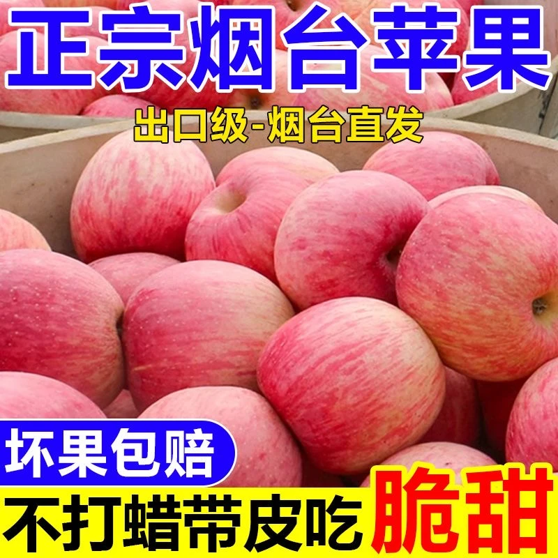 正宗山东烟台头茬红富士苹果新鲜现摘当季应季脆甜多汁水果