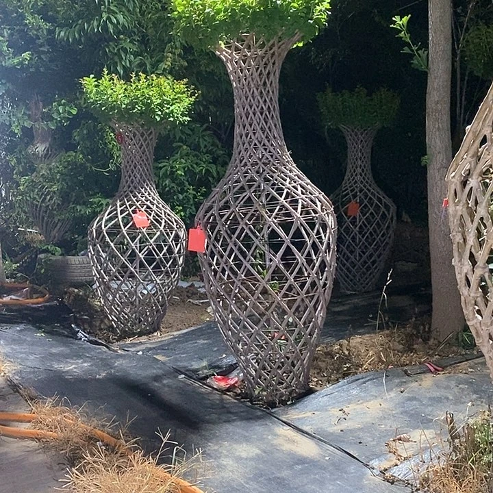 无花朵万**选紫薇花