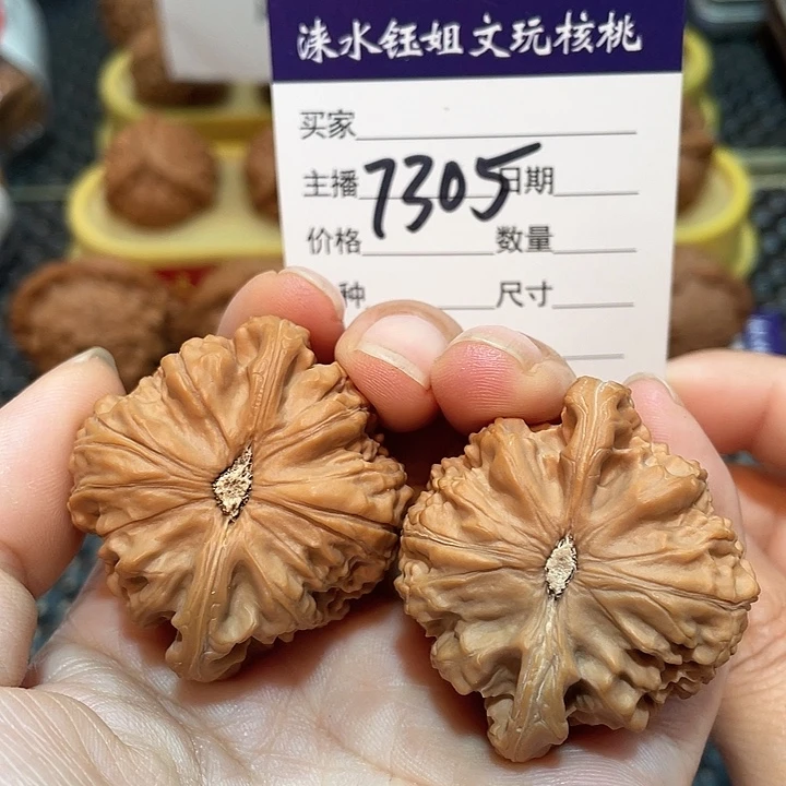 把件文玩核桃43白狮子7305