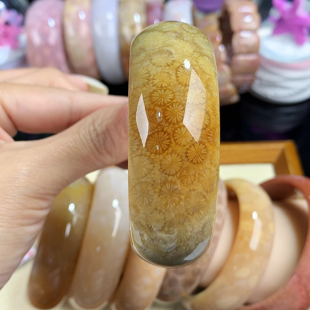 硅化珊瑚（珊瑚玉）未镶嵌吊坠(赠链)10号57圈口