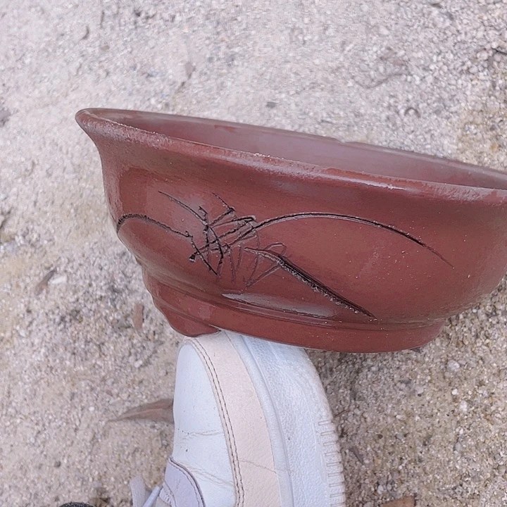 红陶倨傲倨傲忽视a3