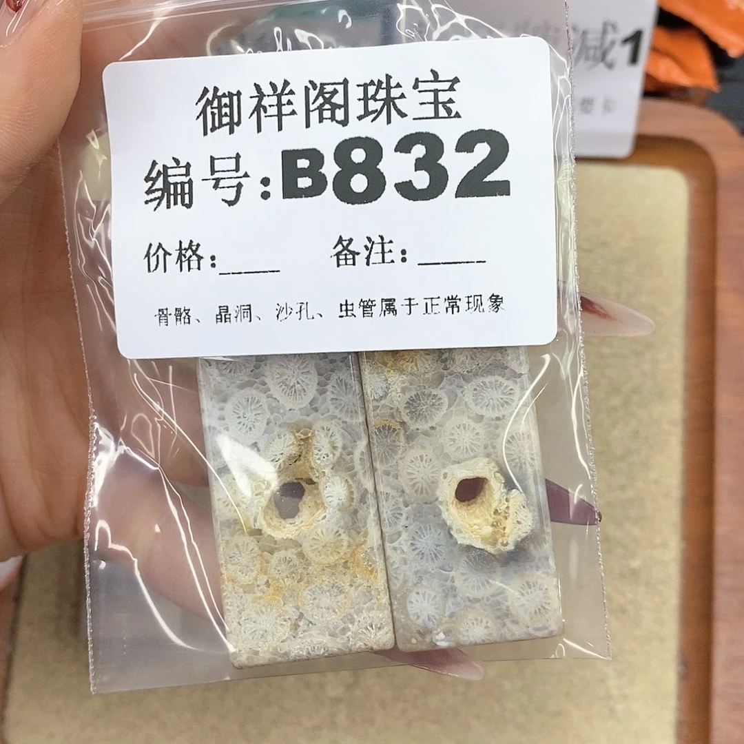 硅化珊瑚（珊瑚玉）颈饰未镶嵌ㅤ**