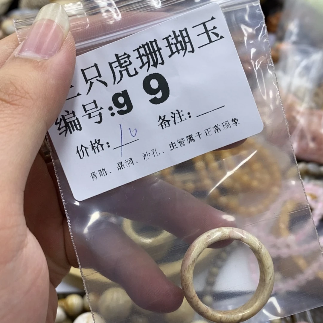 硅化珊瑚（珊瑚玉）未镶嵌X1*7