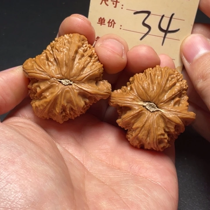 文玩核桃把件白狮子42尺以打底34