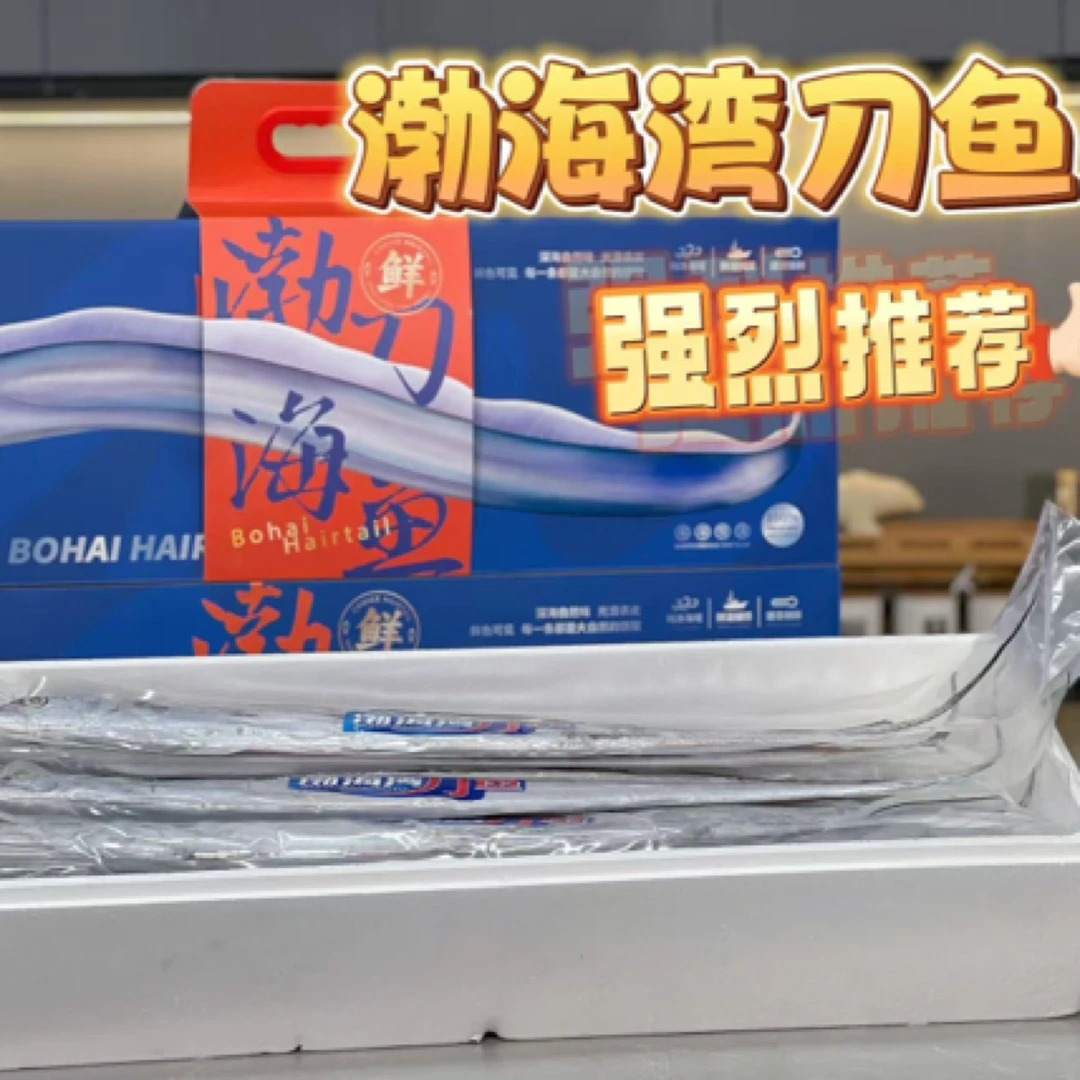 渔礼记渤海湾刀鱼 肉质鲜嫩 一条一斤重礼盒装约5斤