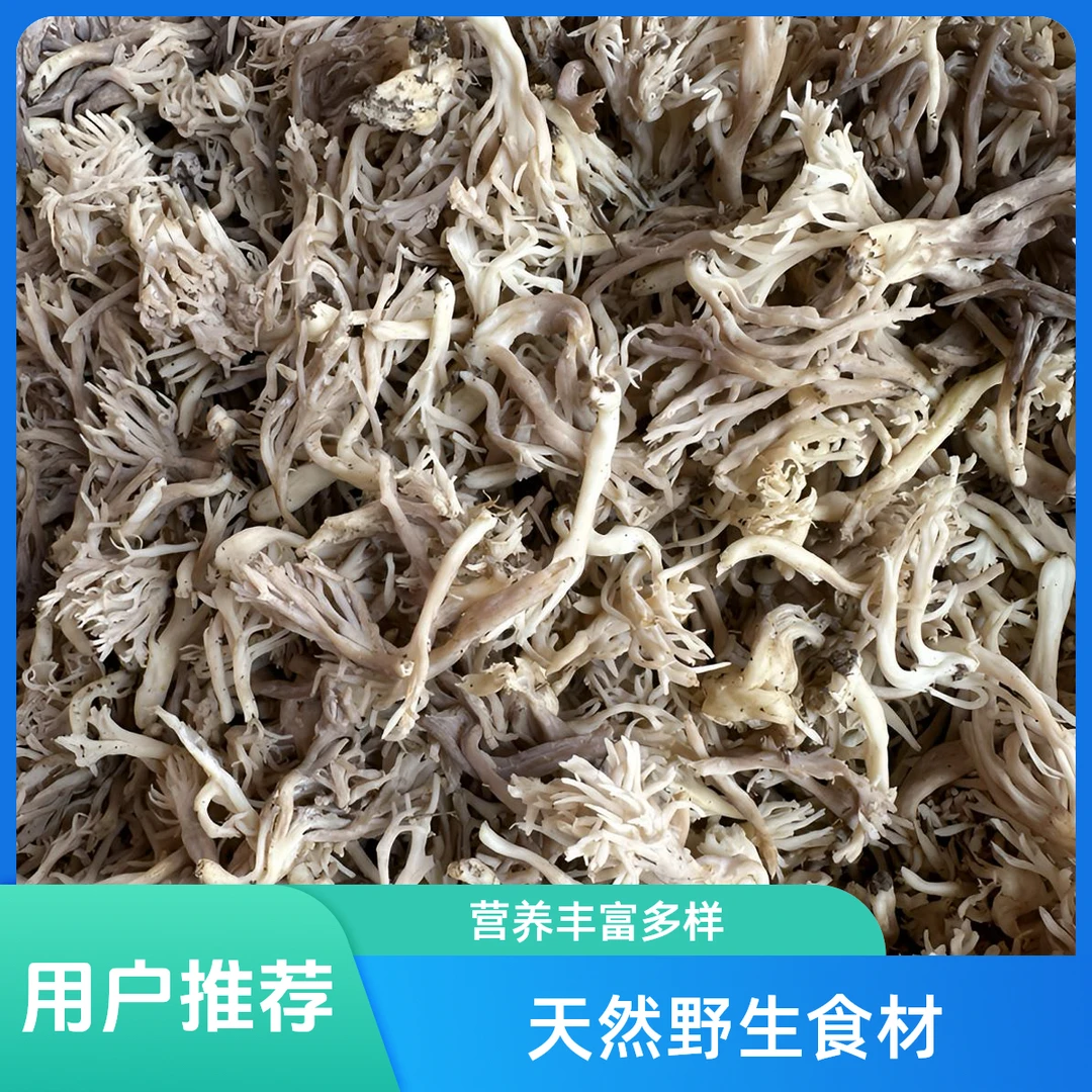 四川高山野生珊瑚菌刷把菌扫把菌可爆新鲜真空发货