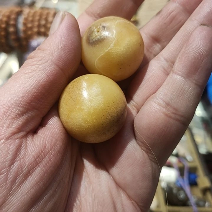 橄榄核手串/手链塑料