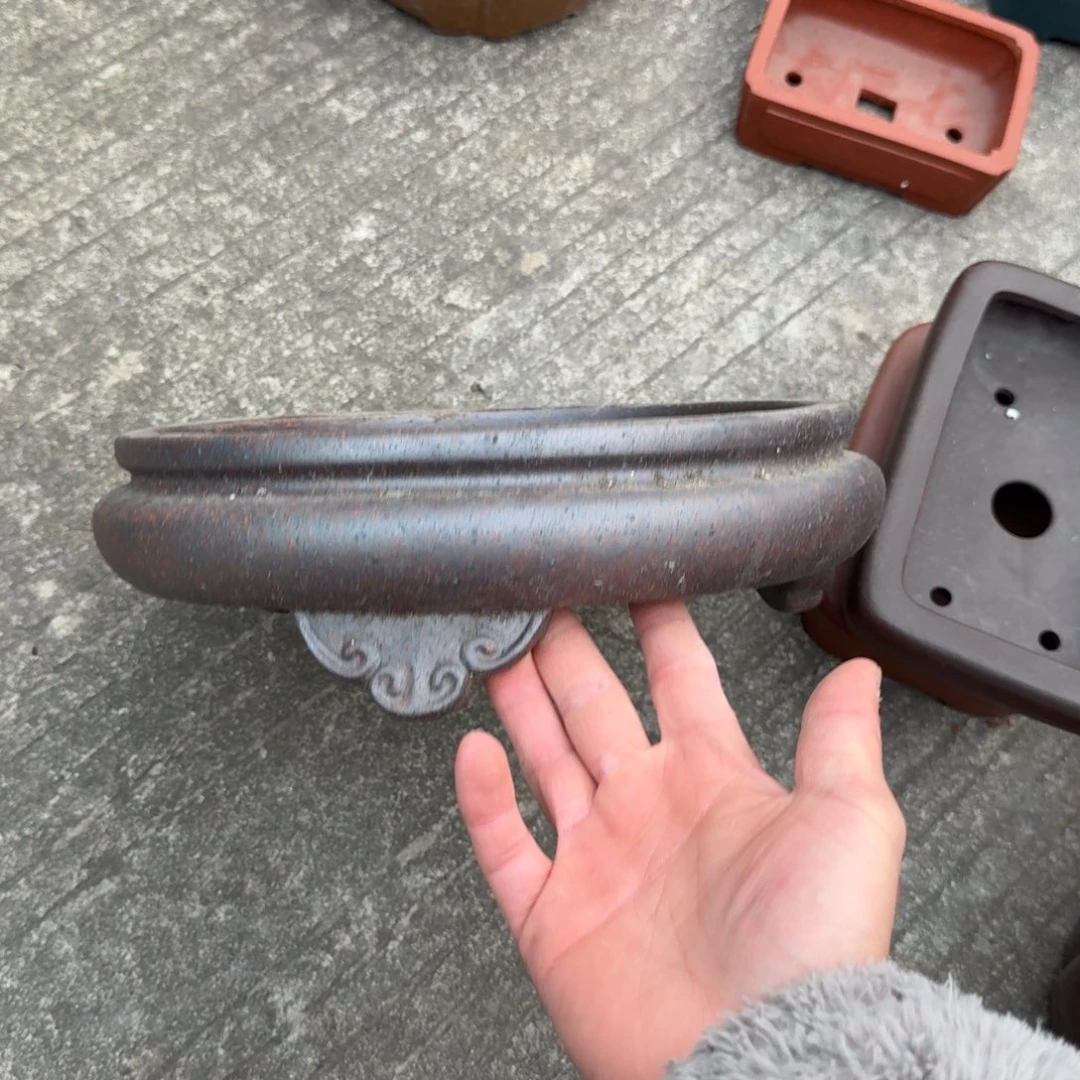 紫砂呜呜呜我的宝呜呜呜我好