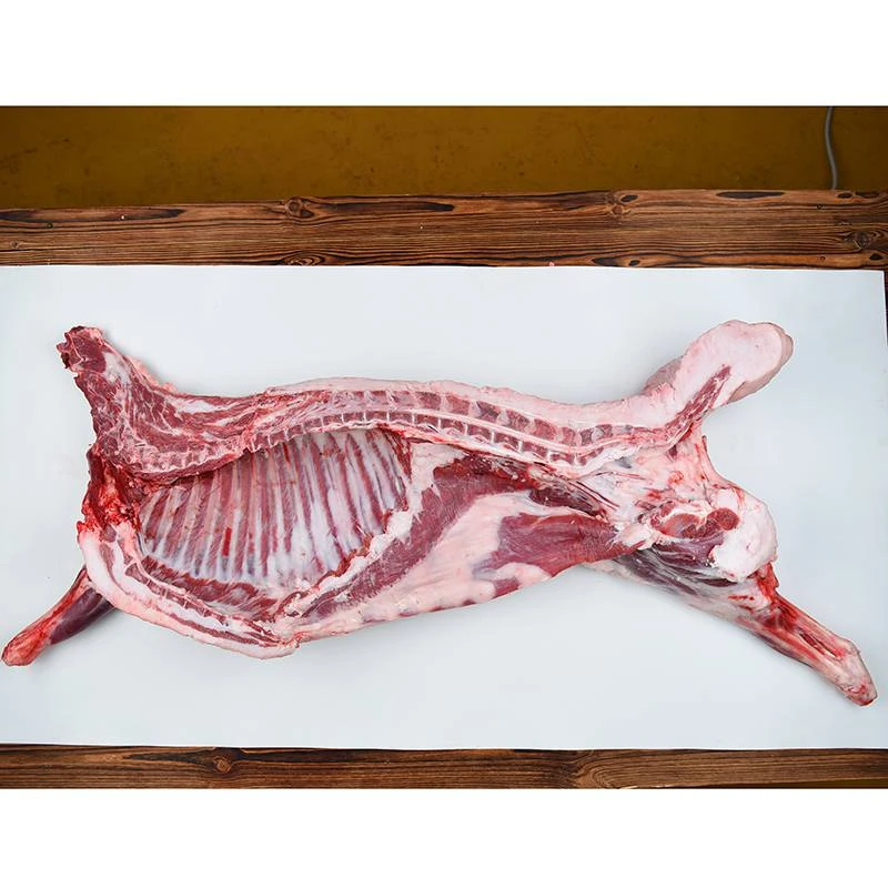 新疆阿勒泰草膘羊全年放养绿色健康现宰现称源头直发空运包邮