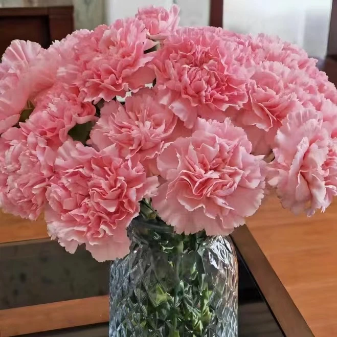 【粉钻AK】单头康乃馨20枝  基地直发 | 全场鲜花任意两单包邮