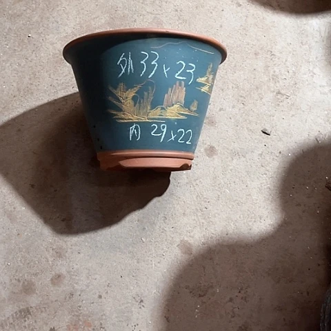 紫砂花紫砂紫砂一个